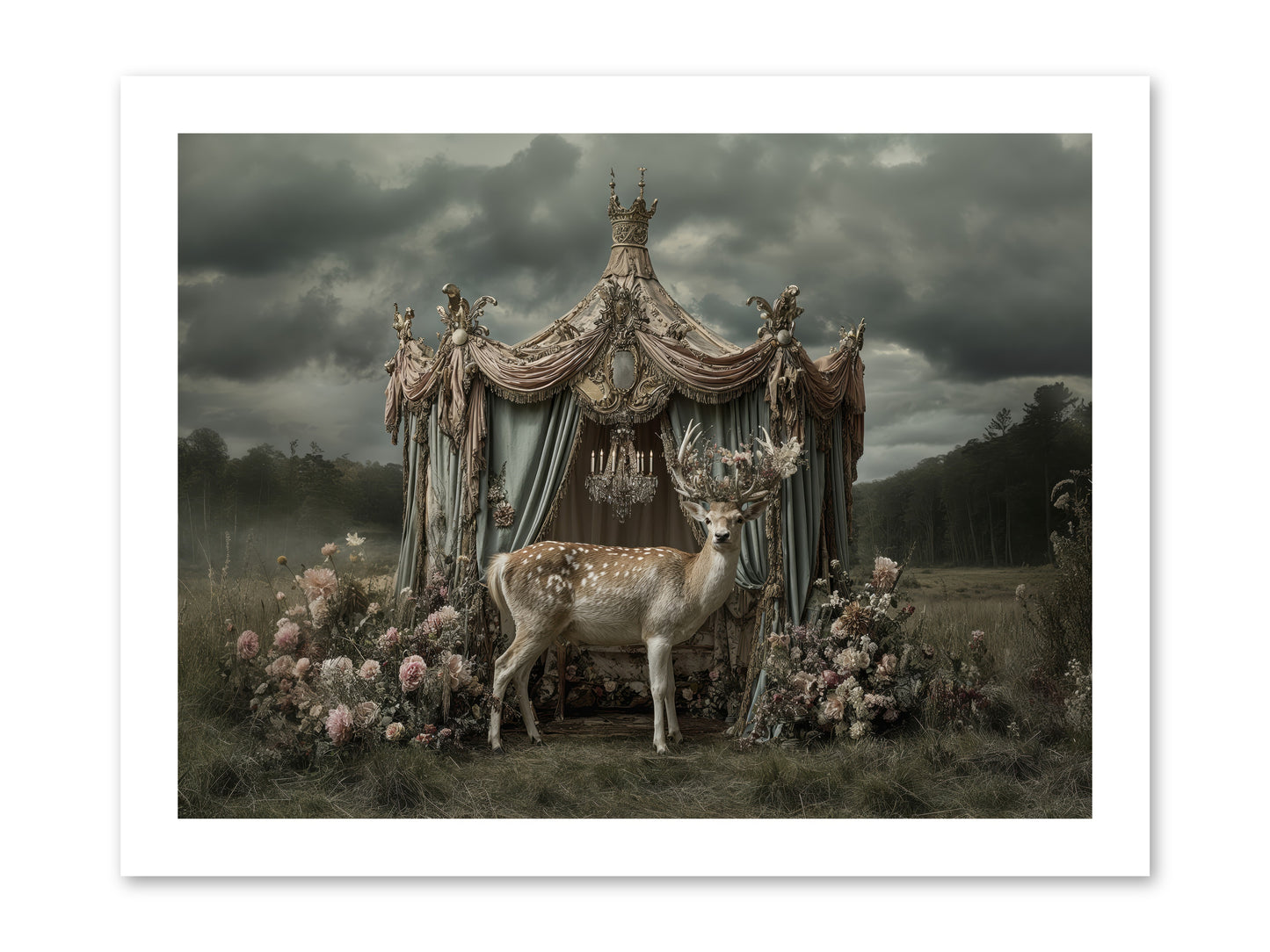 Meadow of Apricot Wind -- Loose Canvas Print 16x12