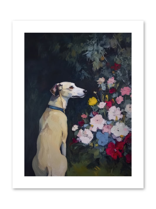 Midnight Bloom Companion -- Paper Print 9x12