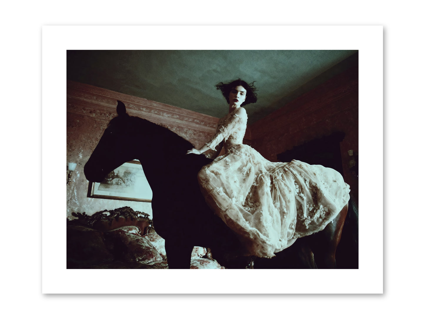Midnight Inherited -- Paper Print 12x9
