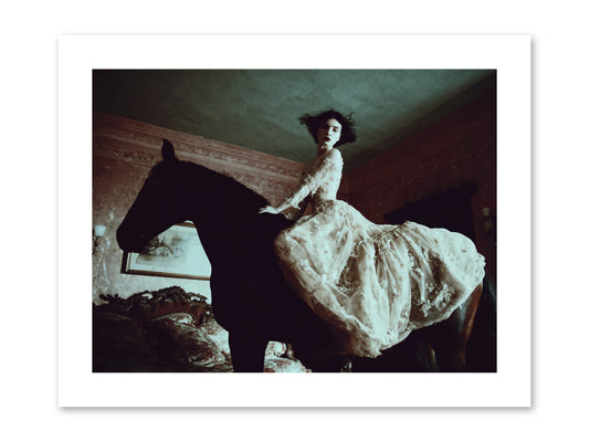 Midnight Inherited -- Paper Print 12x9