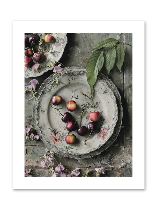 Mignonette -- Paper Print 9x12