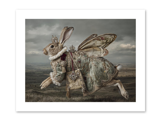 Mintwater Diaries No.1 -- Paper Print 12x9