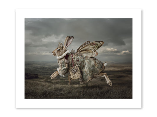 Mintwater Diaries No.2  -- Paper Print 12x9