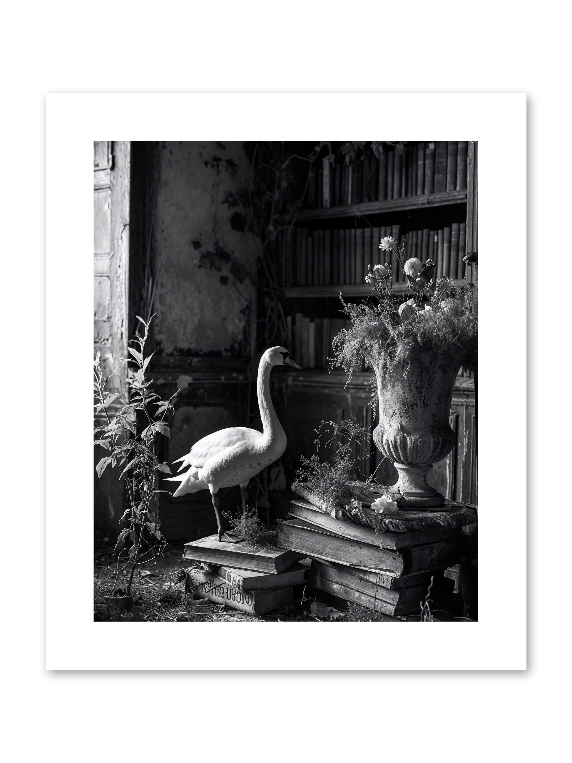 Of The Glen -- Paper Print 8x10