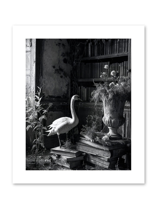 Of The Glen -- Paper Print 8x10