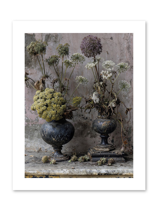 Paradise found blooming -- Paper Print 9x12
