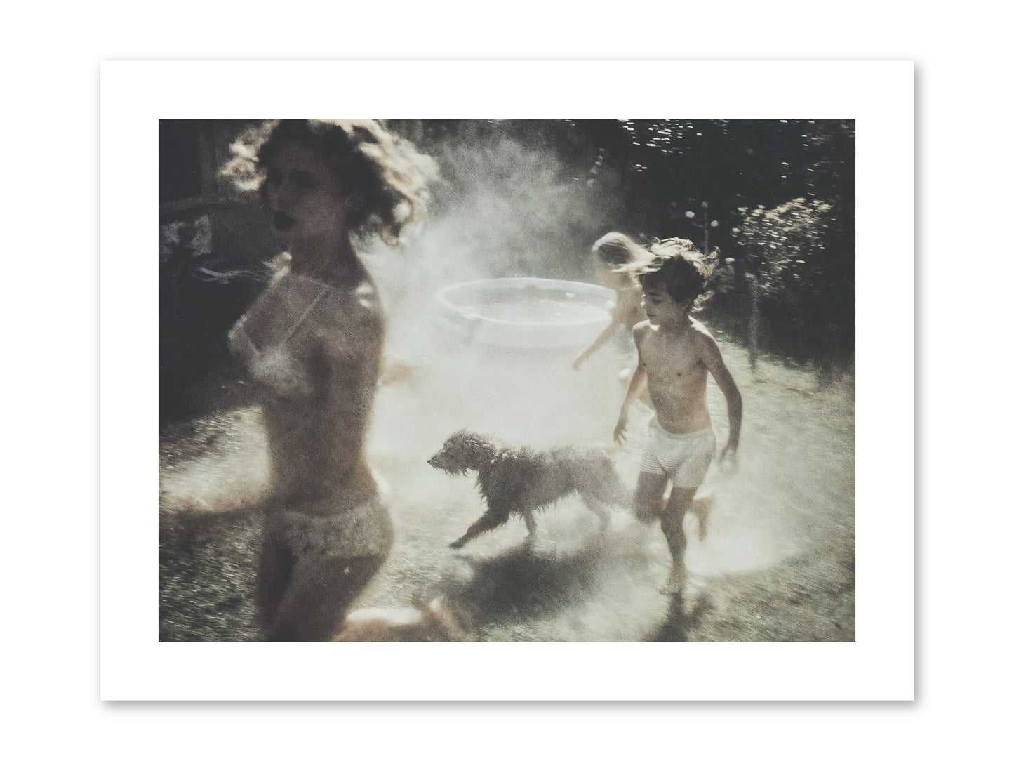 Performing Wildness -- Paper Print 12x9