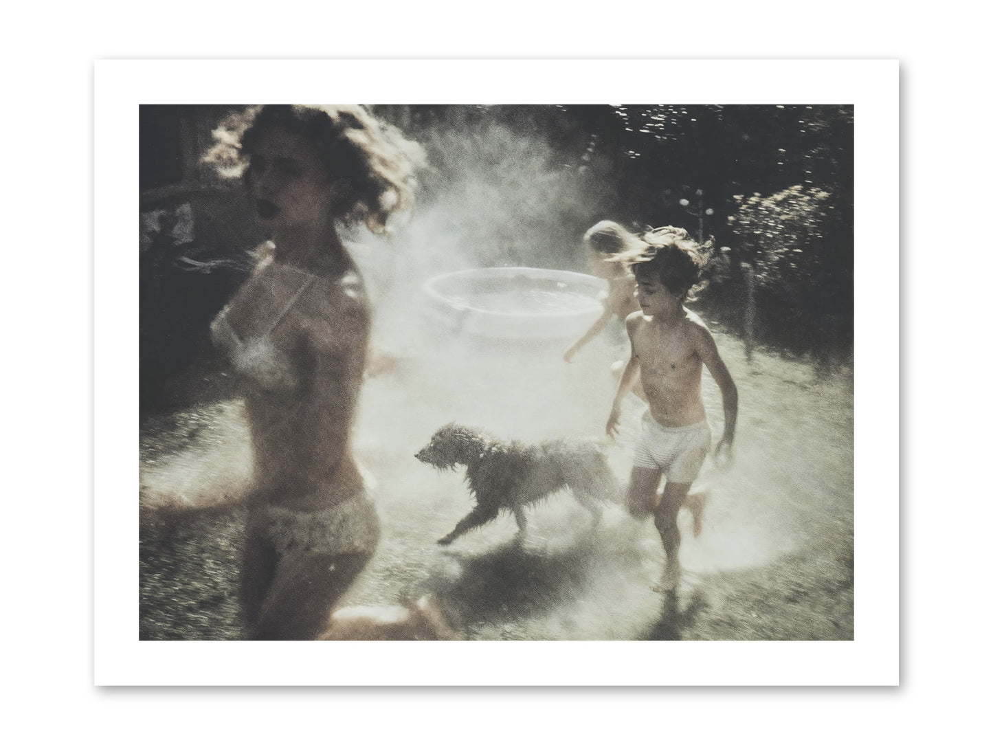 Performing Wildness -- Loose Canvas Print 16x12