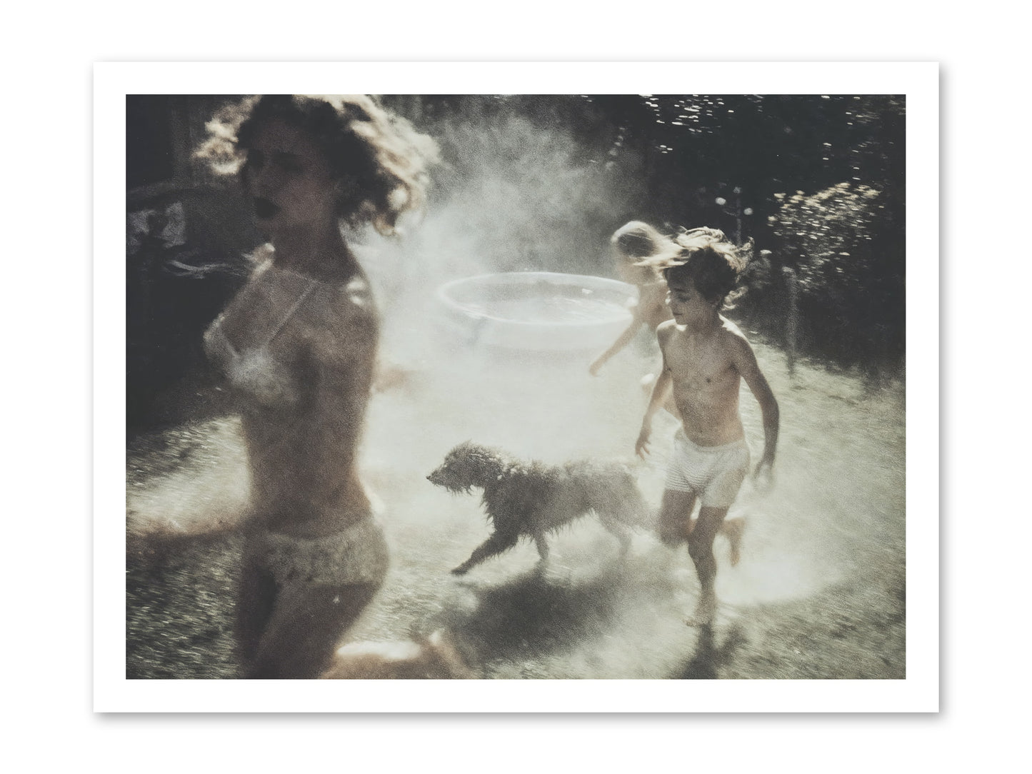 Performing Wildness -- Paper Print 24x18