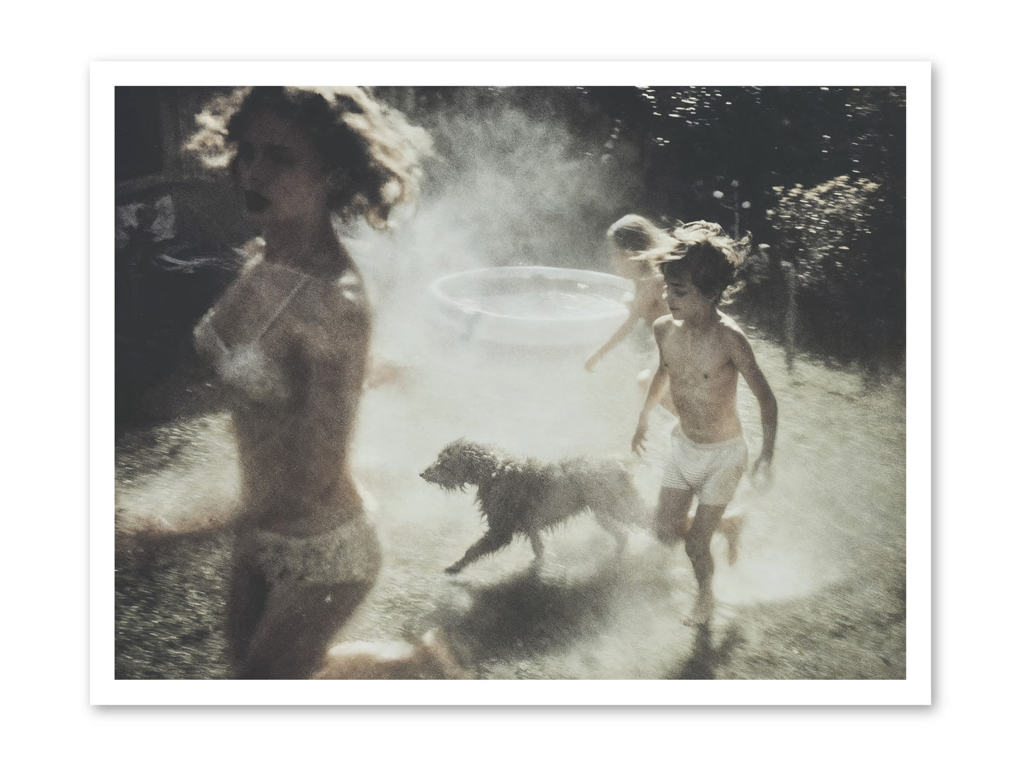 Performing Wildness -- Loose Canvas Print 32x24