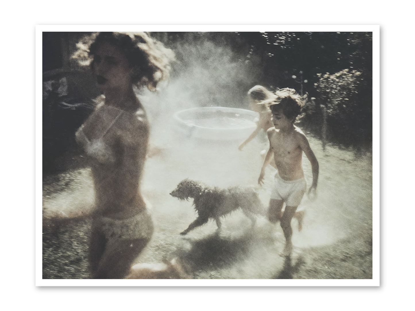 Performing Wildness -- Paper Print 48x36