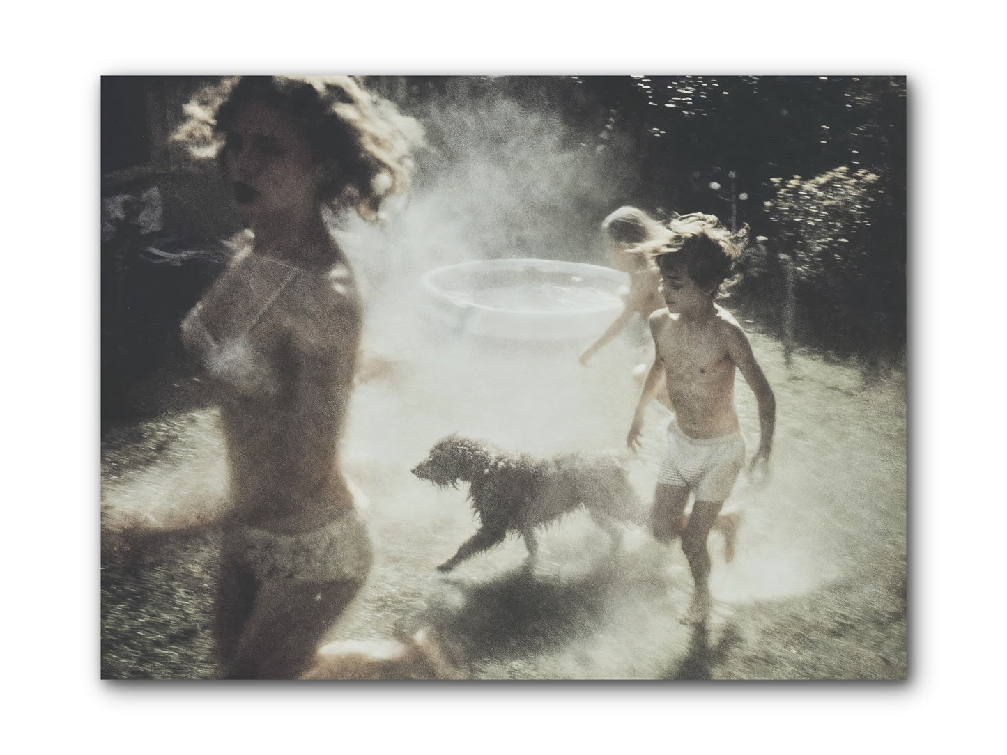 Performing Wildness -- Wrapped Canvas 12x9
