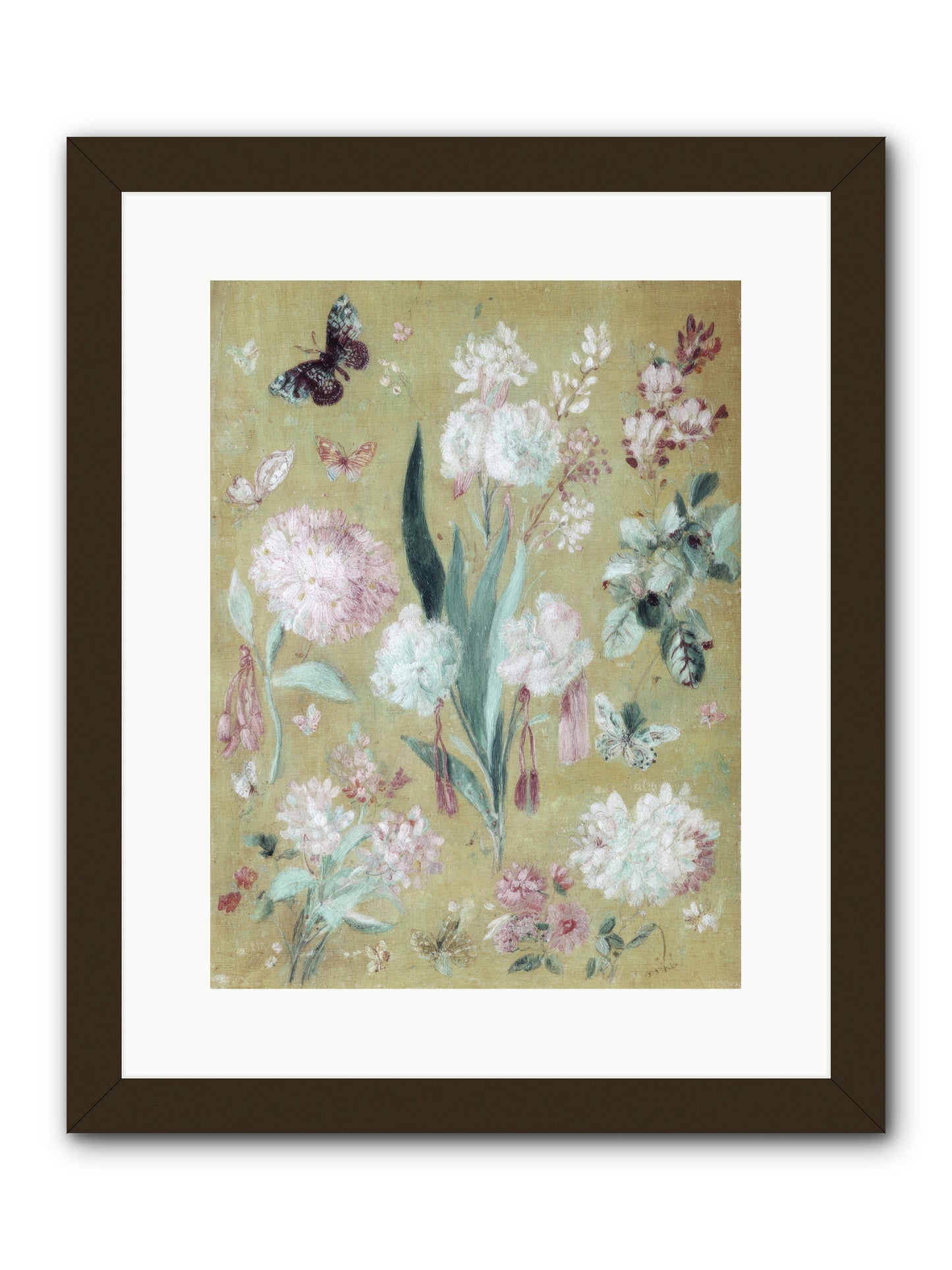 Plumfield Correspondence -- Framed Print - Black 12x16