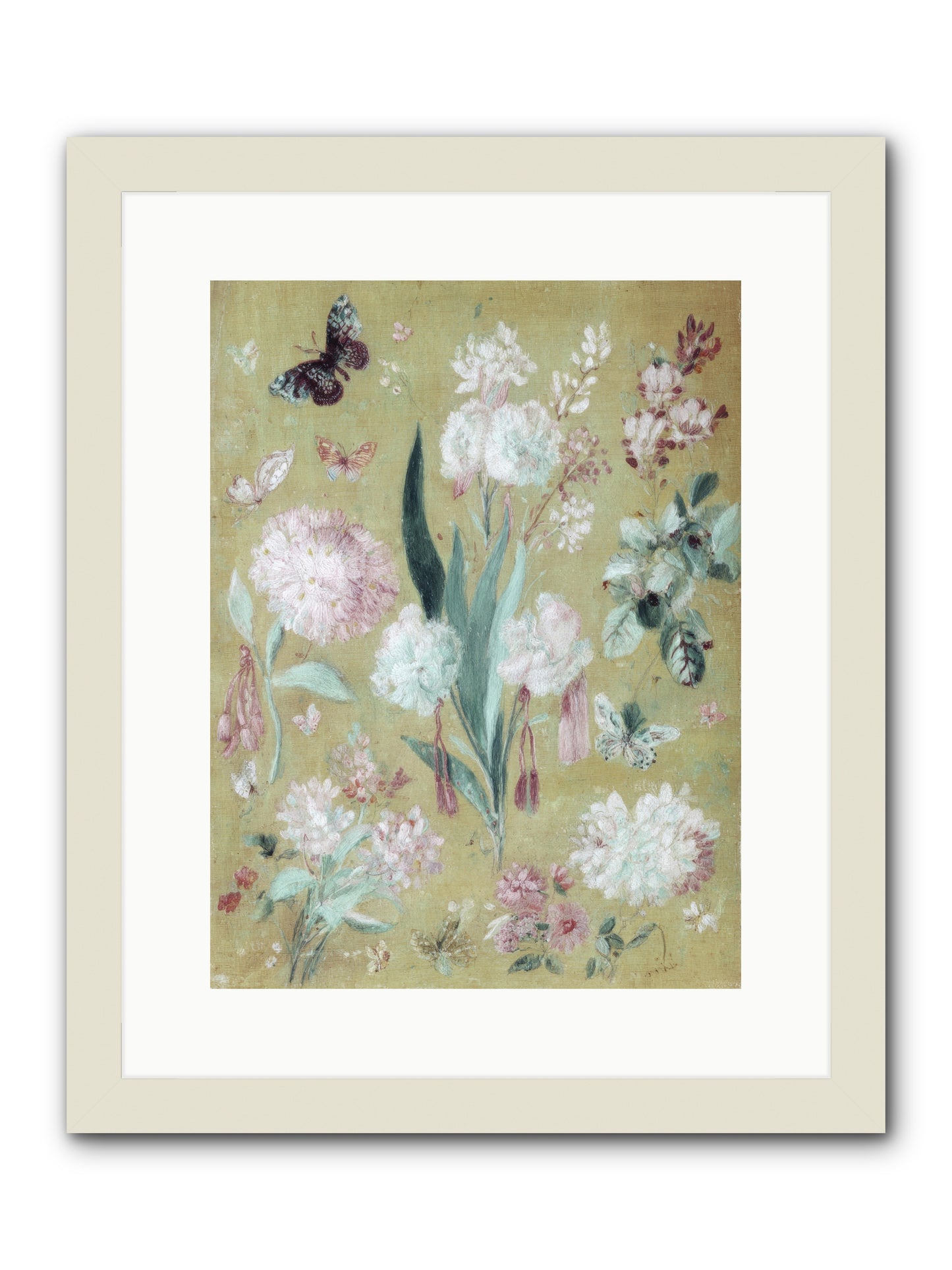Plumfield Correspondence -- Framed Print - White 12x16