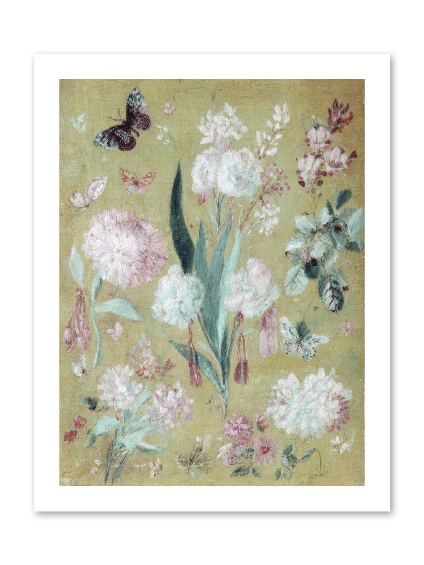 Plumfield Correspondence -- Loose Canvas Print 12x16