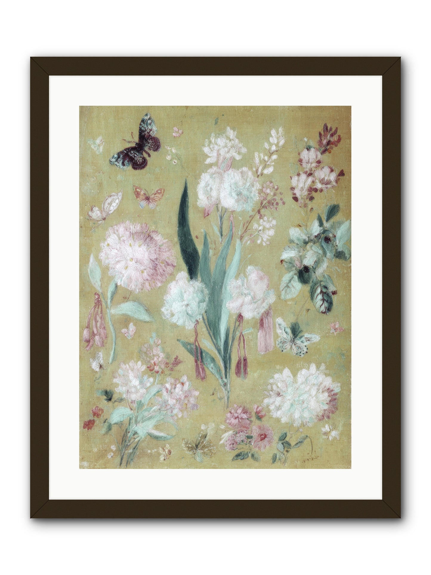 Plumfield Correspondence -- Framed Print - Black 18x24
