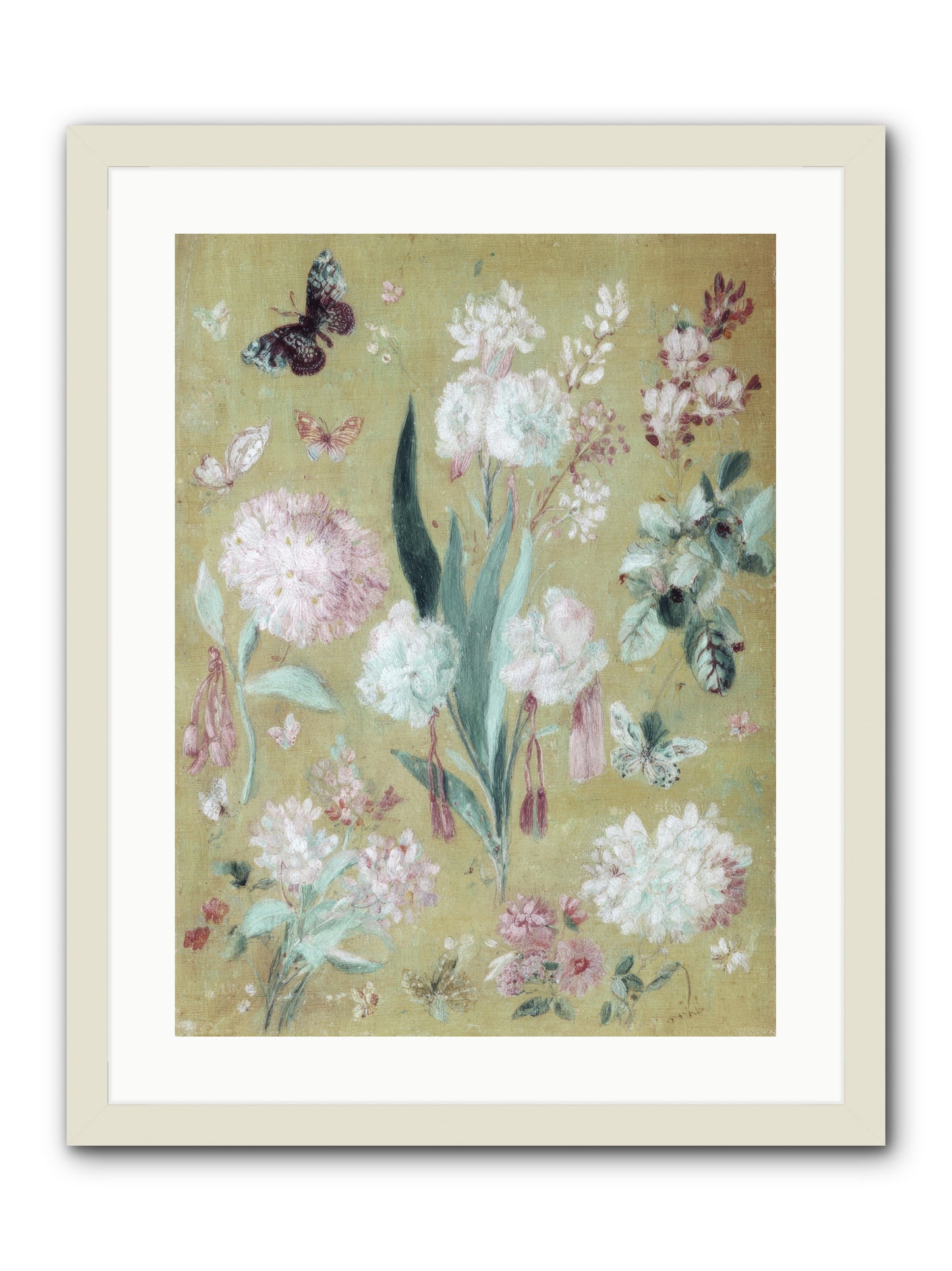 Plumfield Correspondence -- Framed Print - White 18x24