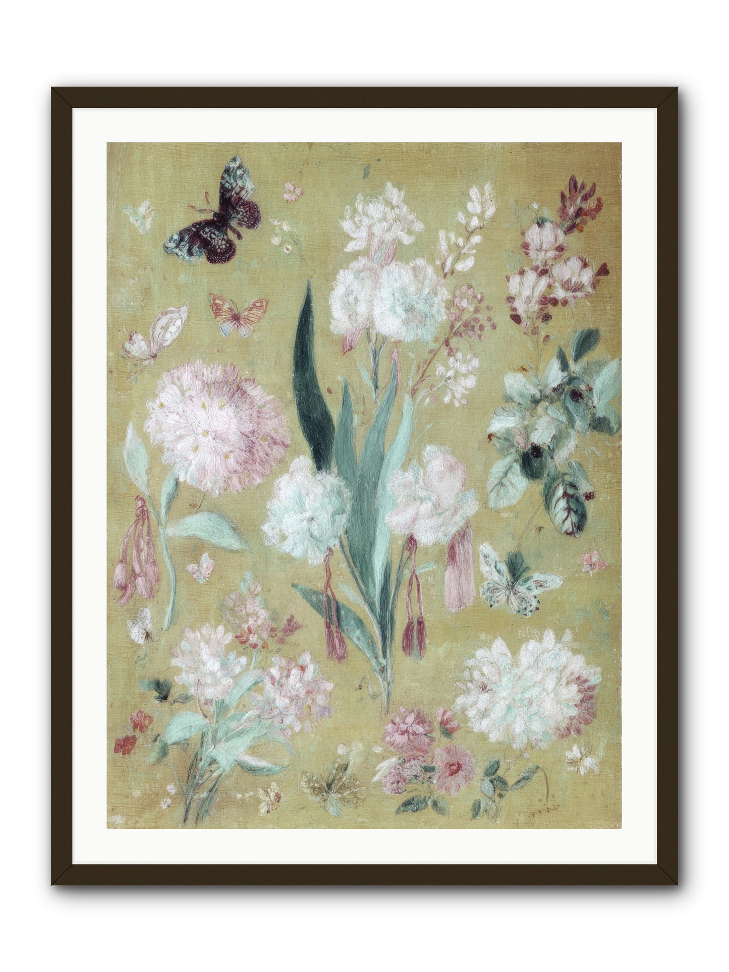 Plumfield Correspondence -- Framed Print - Black 30x40