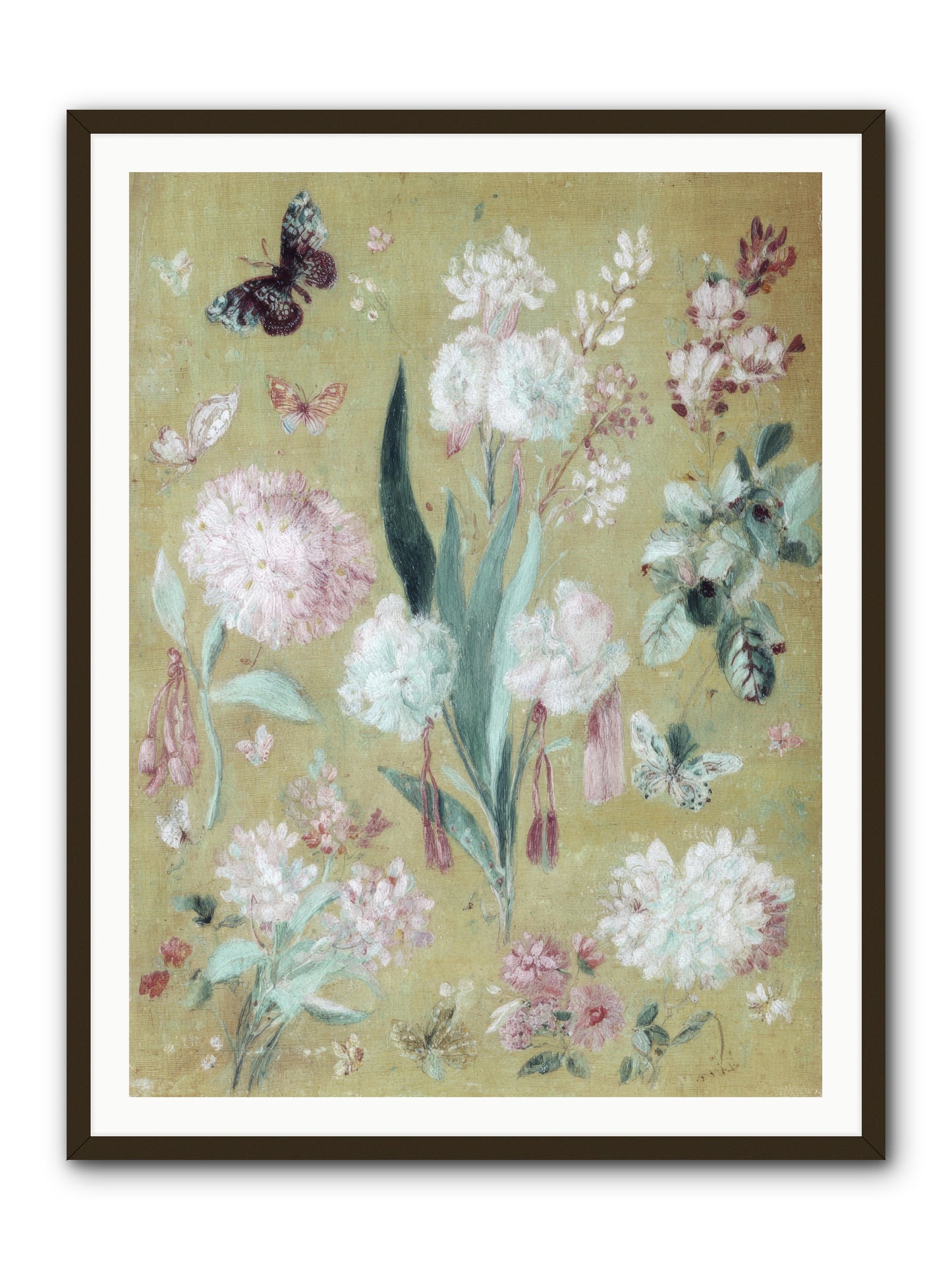 Plumfield Correspondence -- Framed Print - Black 36x48