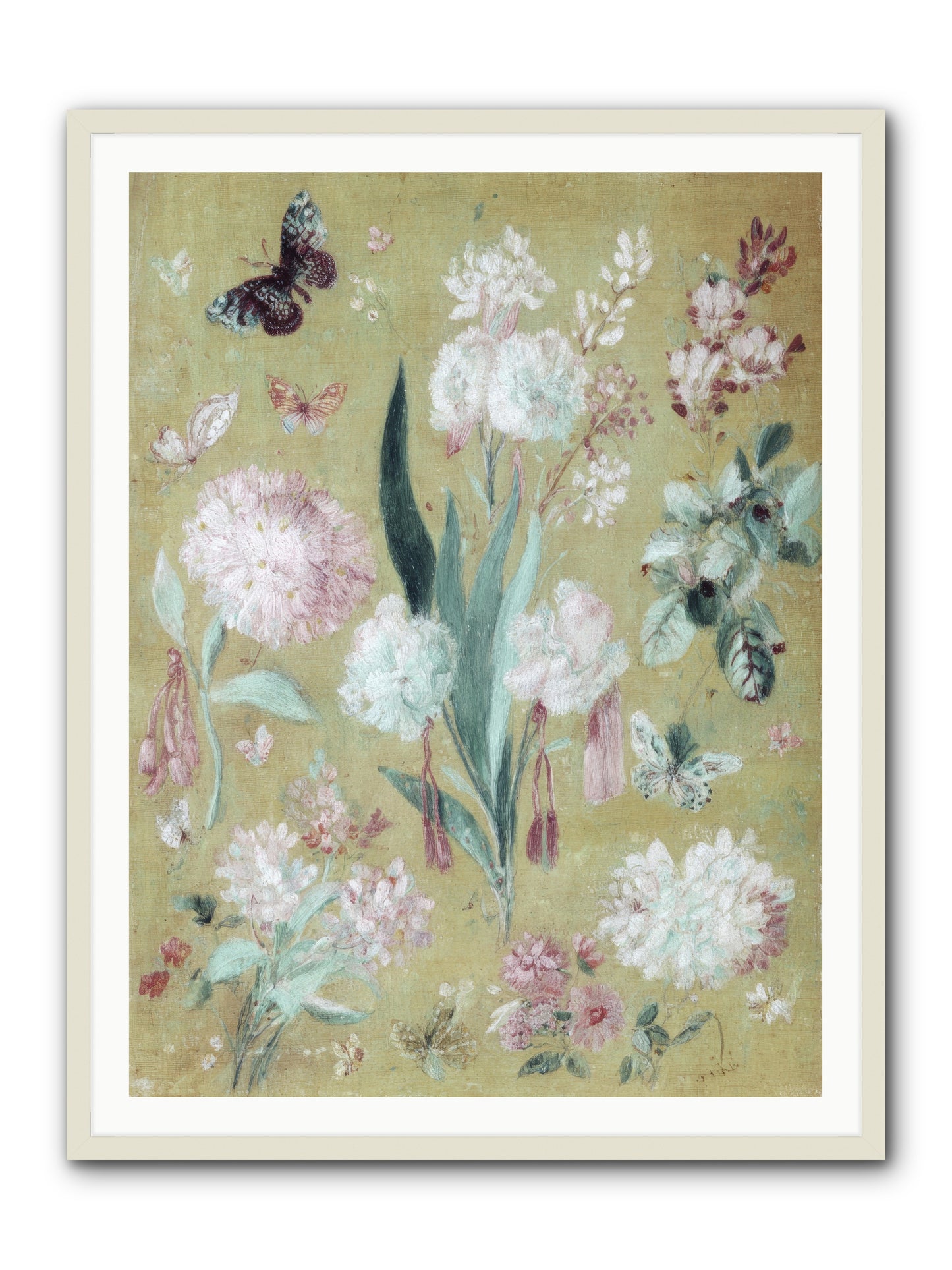 Plumfield Correspondence -- Framed Print - White 36x48