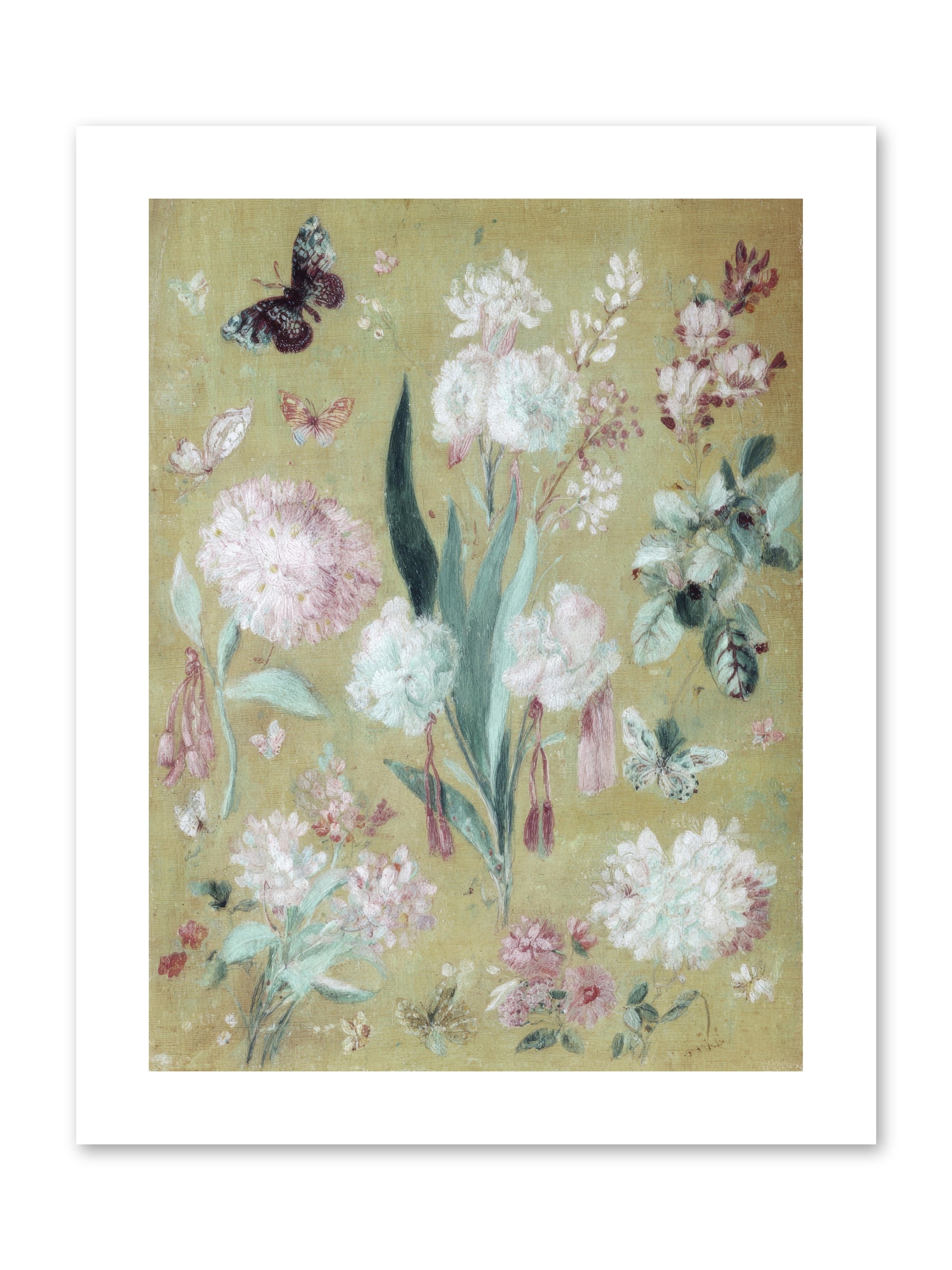 Plumfield Correspondence -- Paper Print 9x12