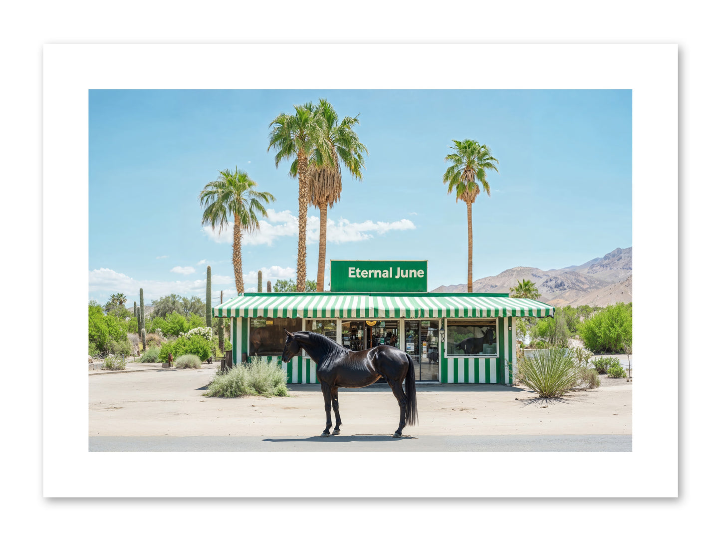 Polaroids Of Yesterday -- Loose Canvas Print 12x8