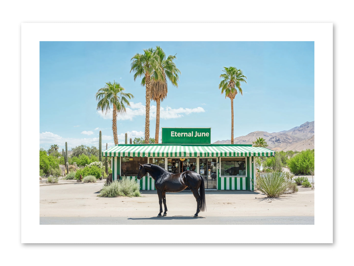 Polaroids Of Yesterday -- Loose Canvas Print 15x10