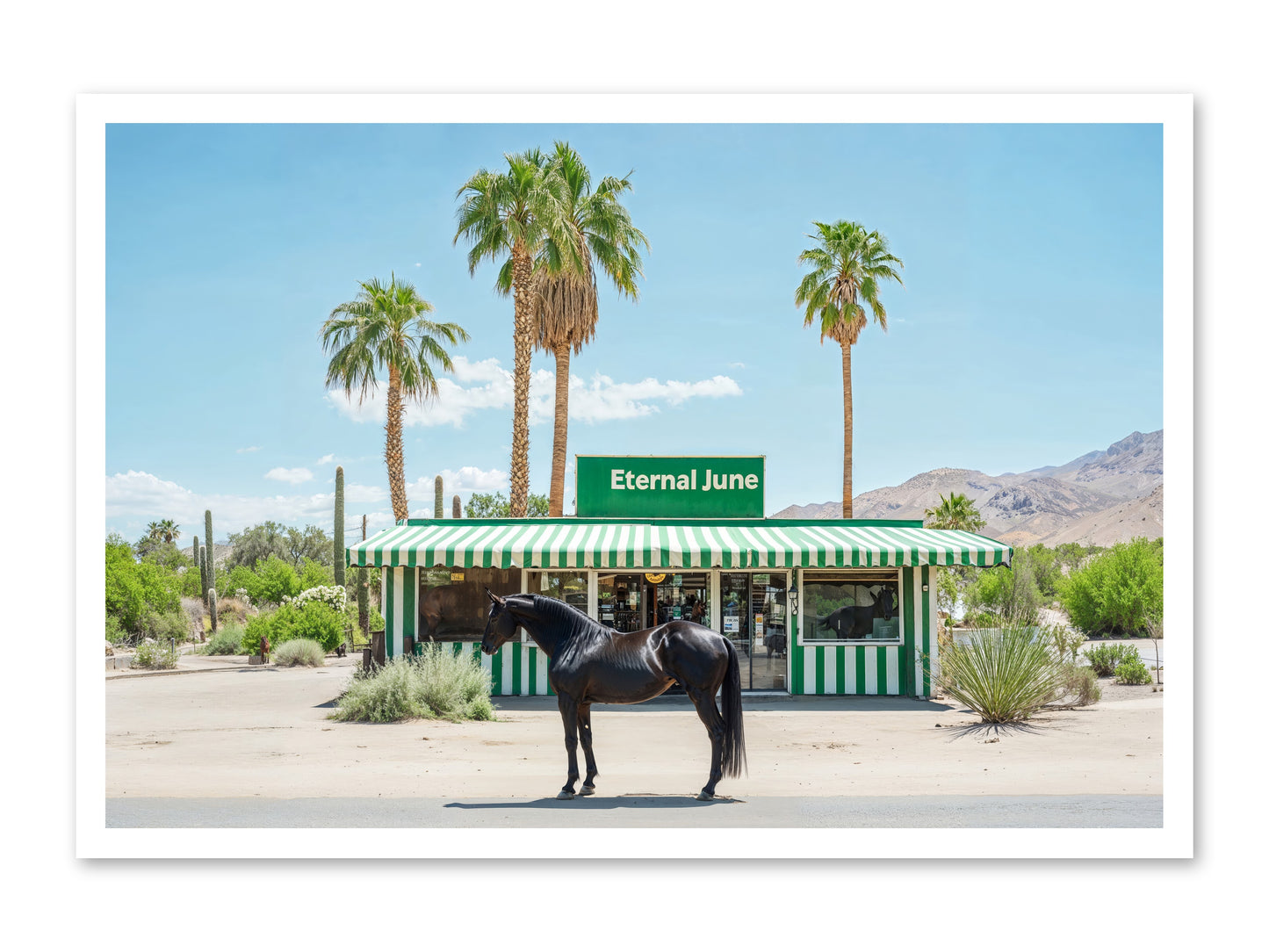 Polaroids Of Yesterday -- Loose Canvas Print 36x24
