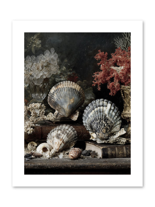 Reef's Royal Court -- Paper Print 9x12
