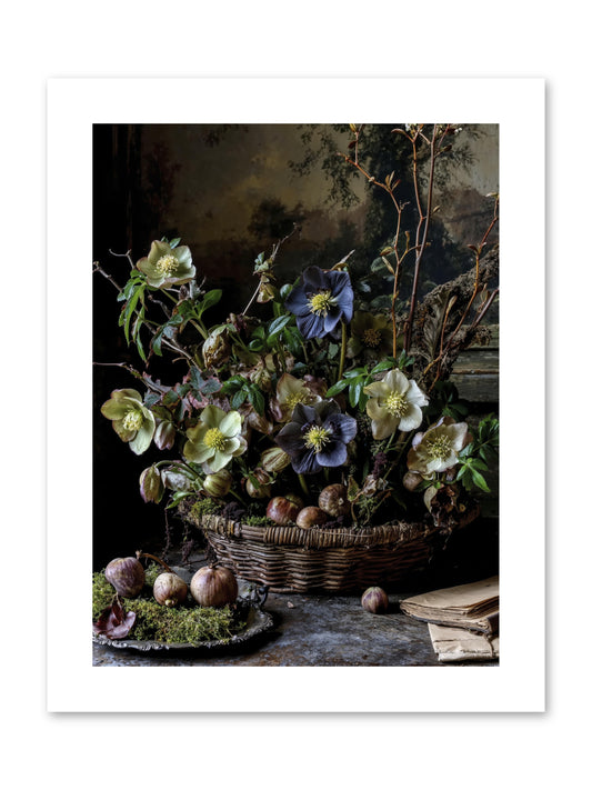 Rhapsody -- Paper Print 9x12