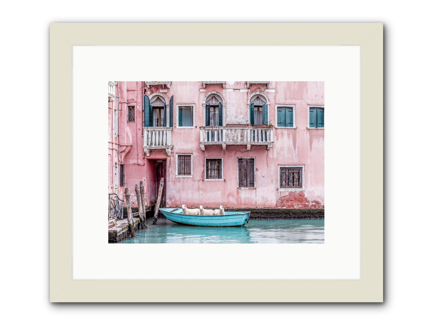 Rosewater -- Framed Print - White 12x9