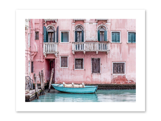 Rosewater -- Paper Print 12x9
