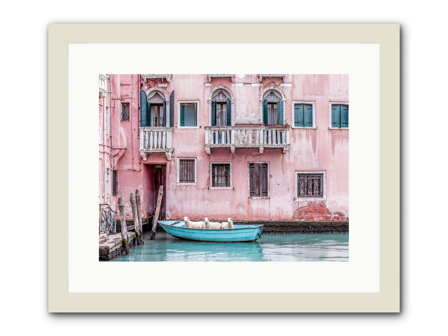 Rosewater -- Framed Print - White 16x12