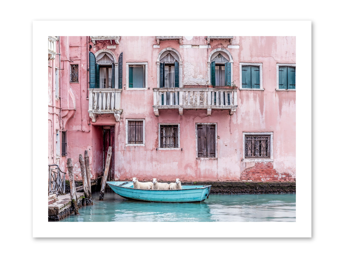 Rosewater -- Loose Canvas Print 16x12