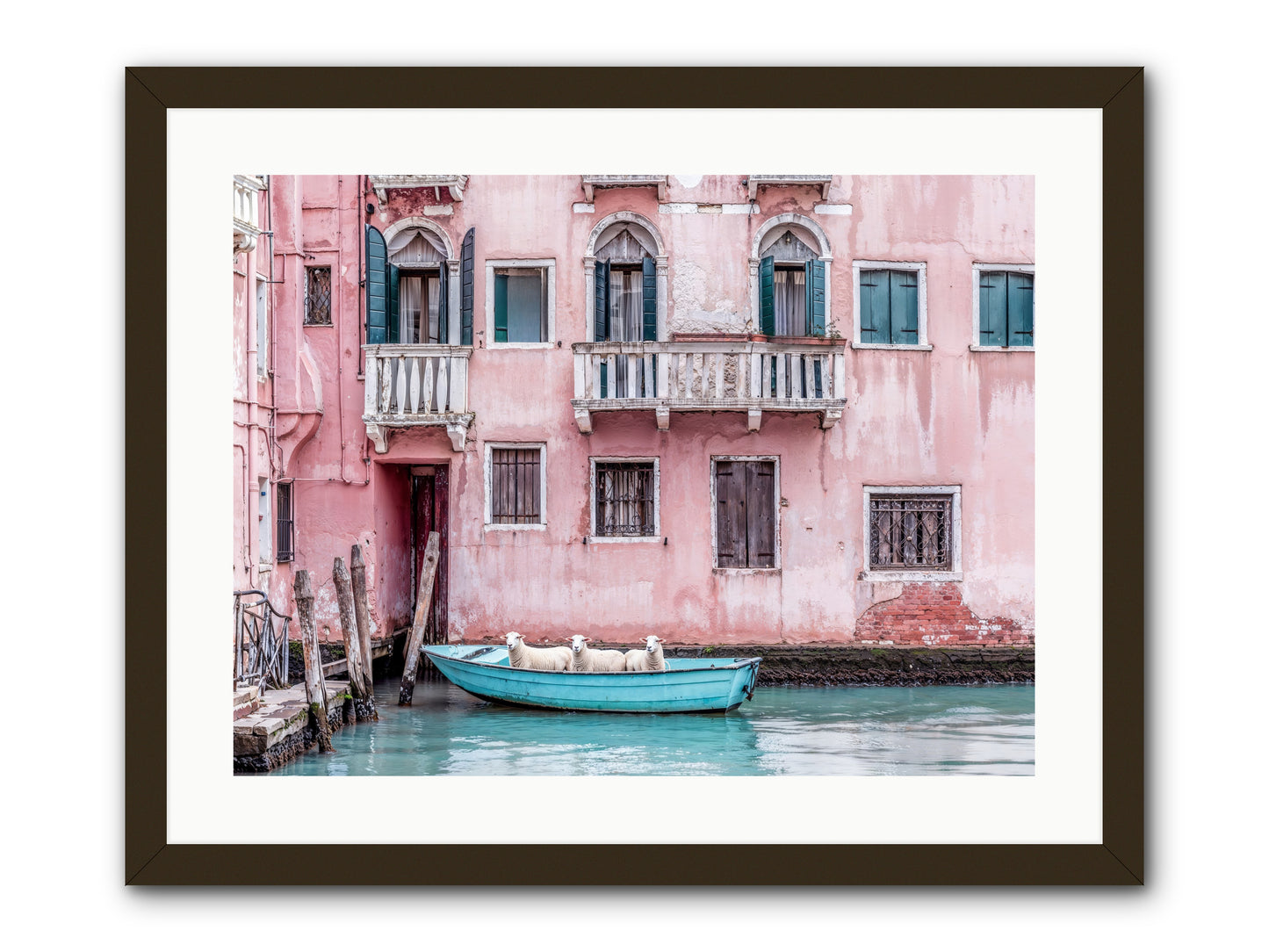Rosewater -- Framed Print - Black 24x18
