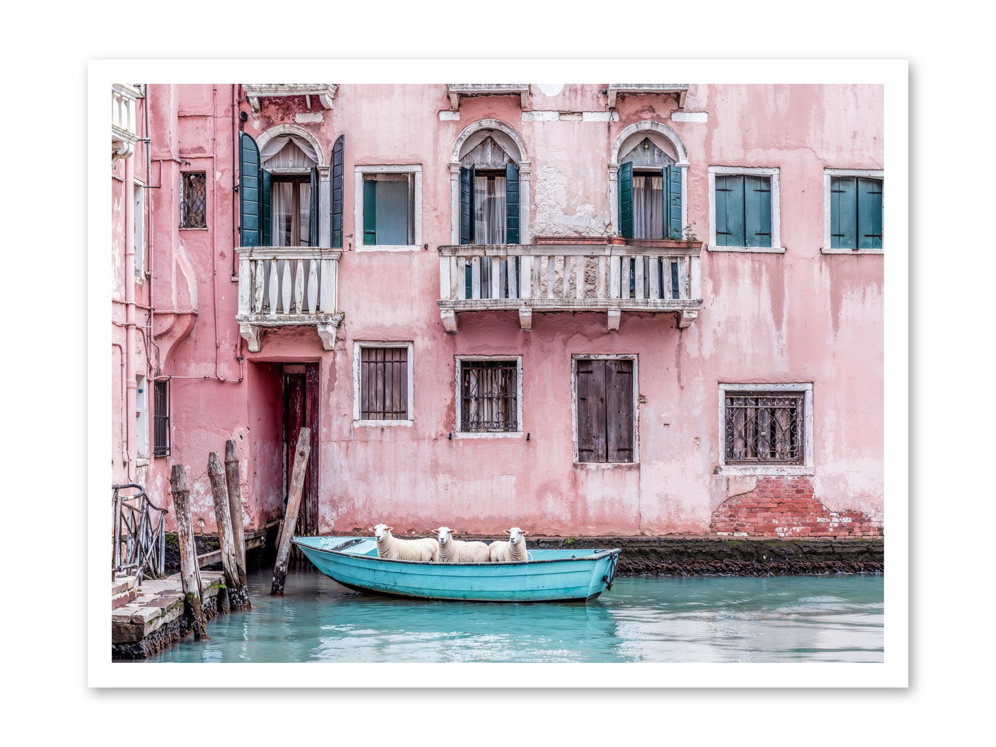 Rosewater -- Paper Print 32x24