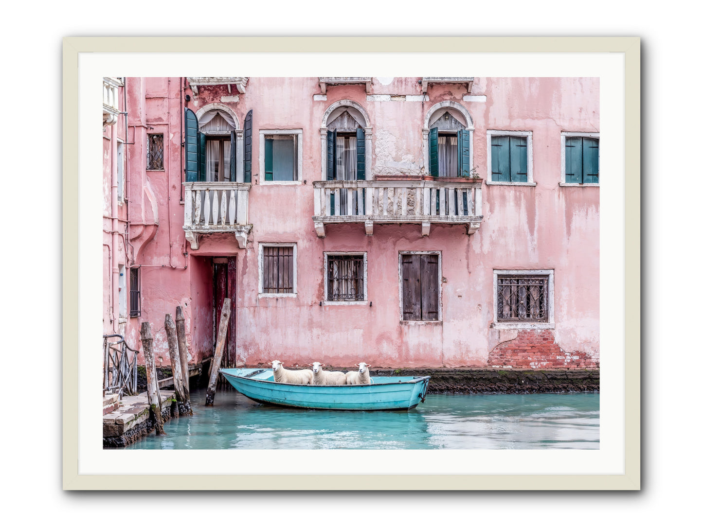 Rosewater -- Framed Print - White 40x30