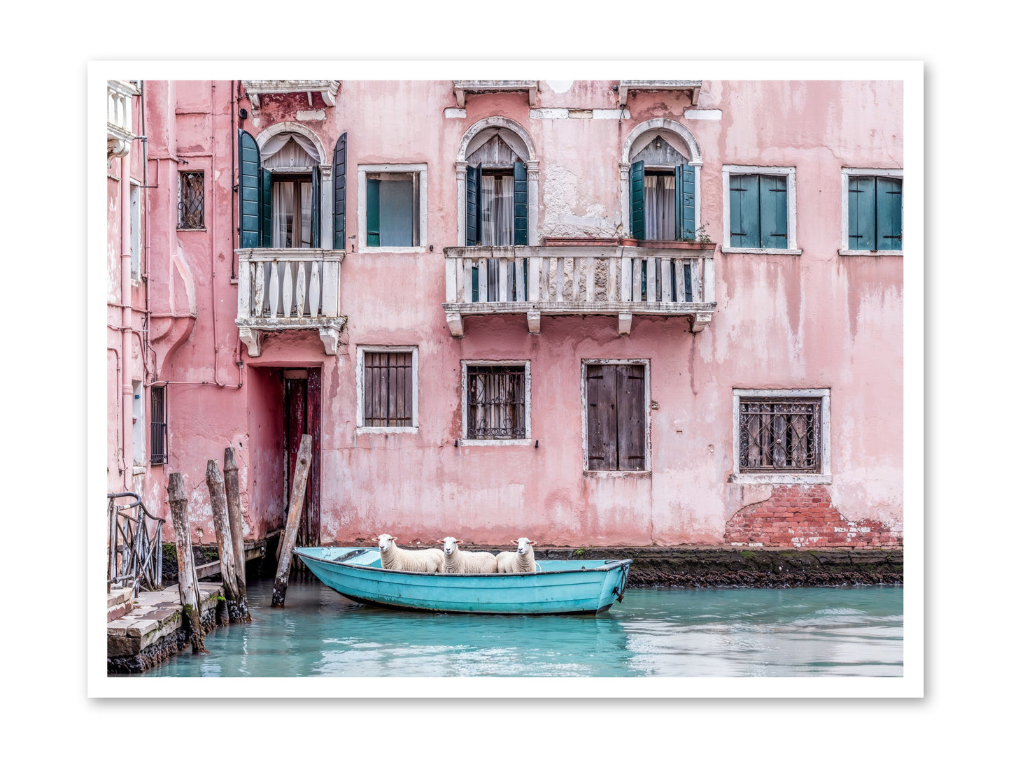 Rosewater -- Paper Print 40x30