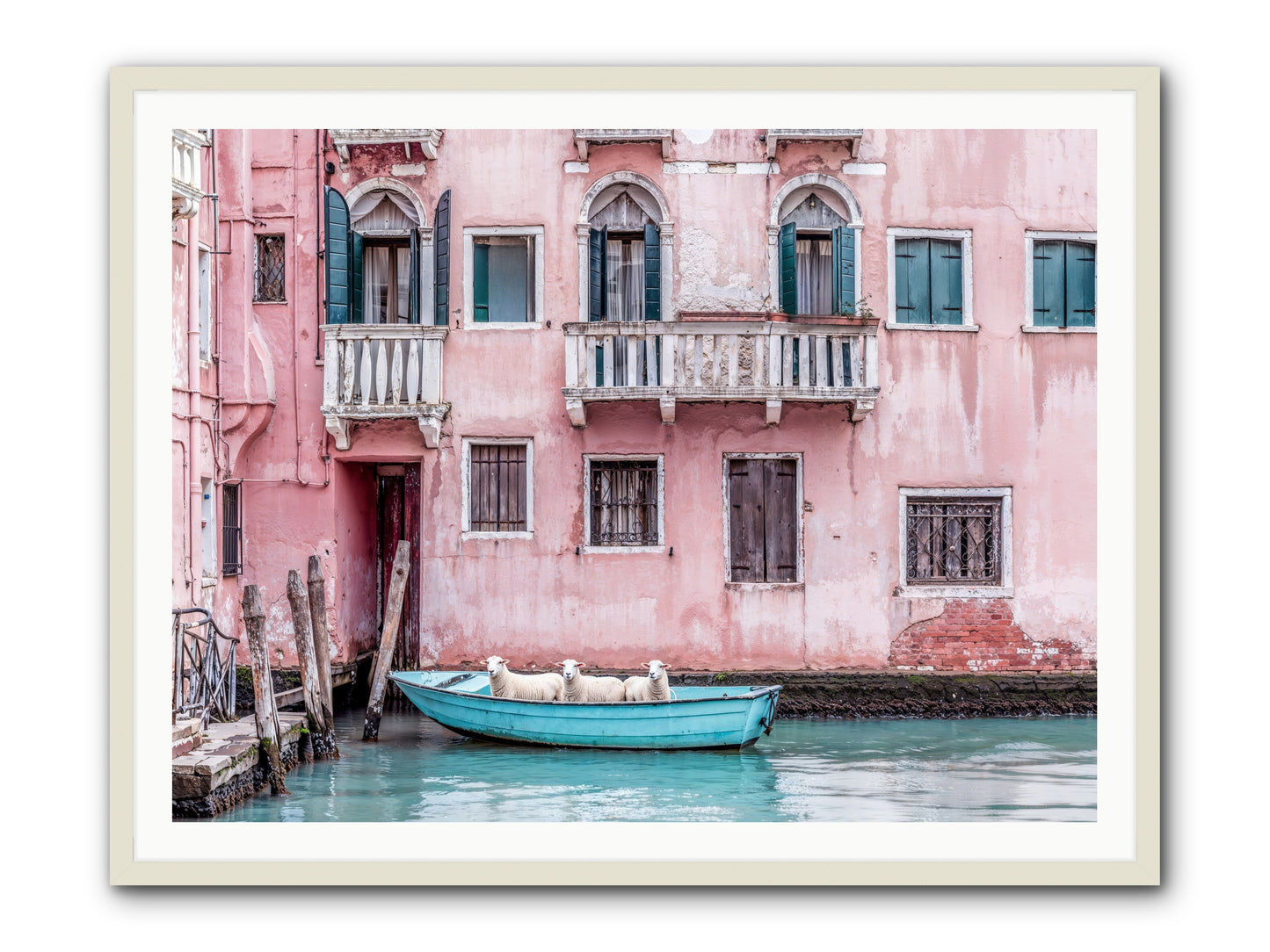 Rosewater -- Framed Print - White 48x36