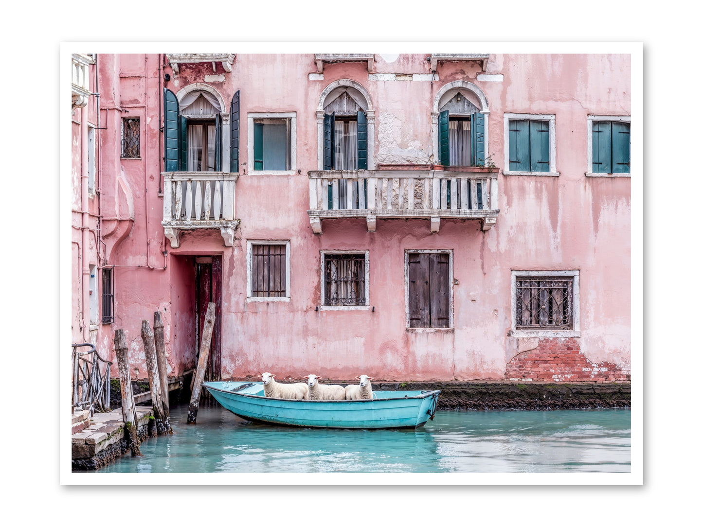 Rosewater -- Paper Print 48x36