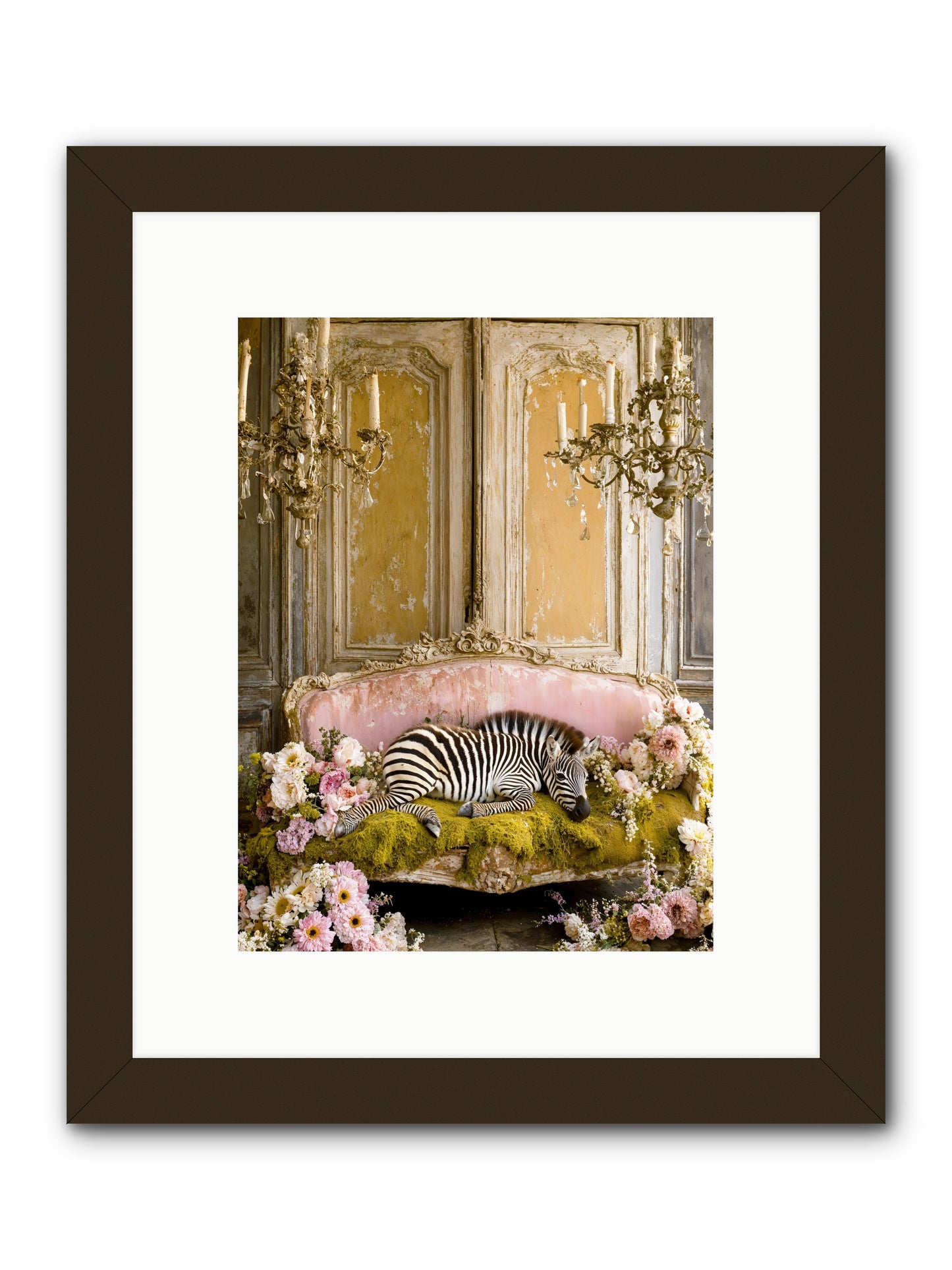 Sanctuary Of Wild Wonder -- Framed Print - Black 9x12