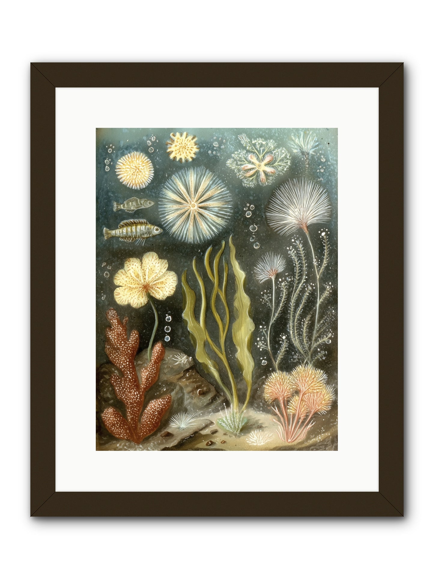 Secret Garden -- Framed Print - Black 12x16