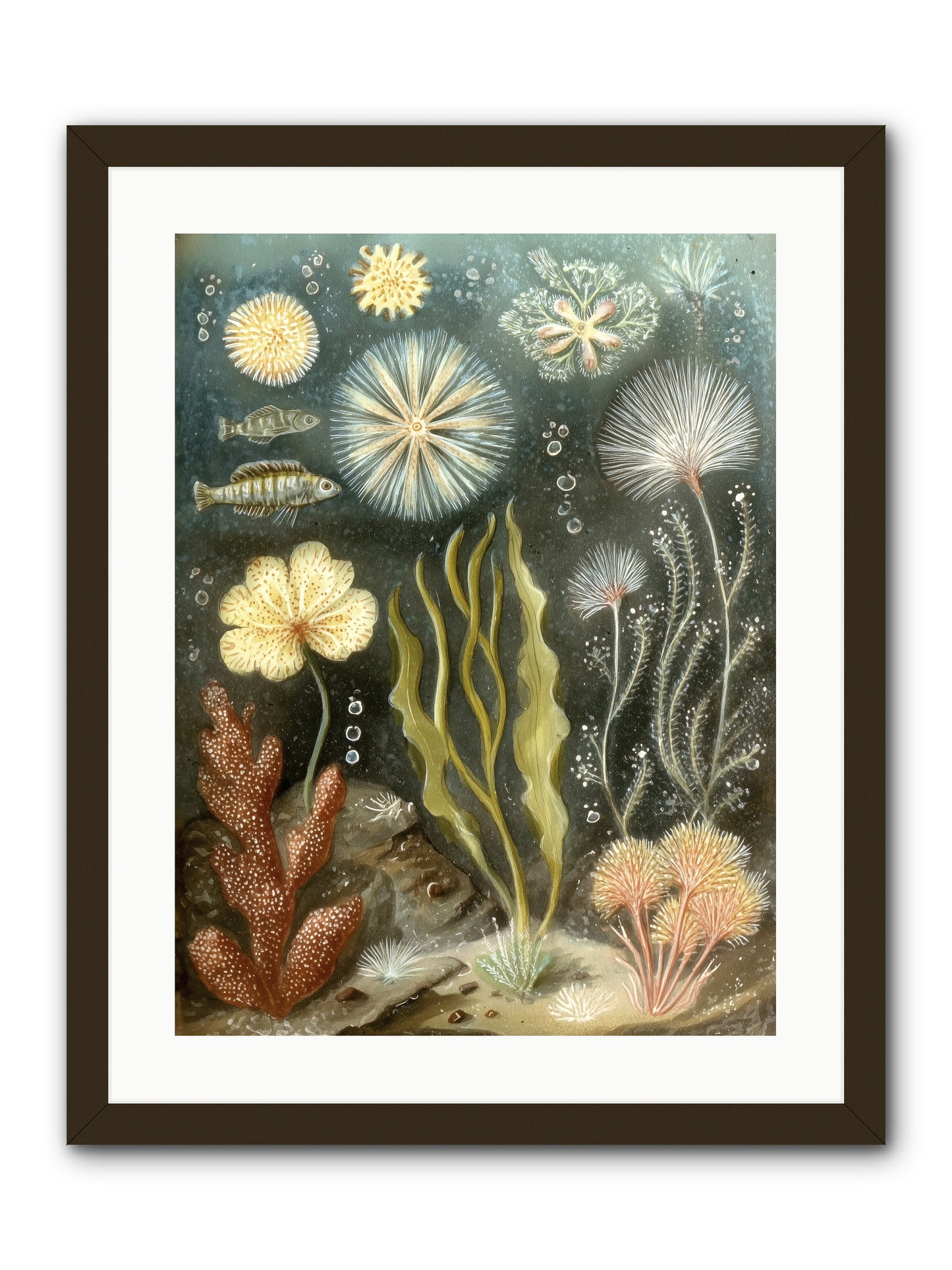 Secret Garden -- Framed Print - Black 18x24