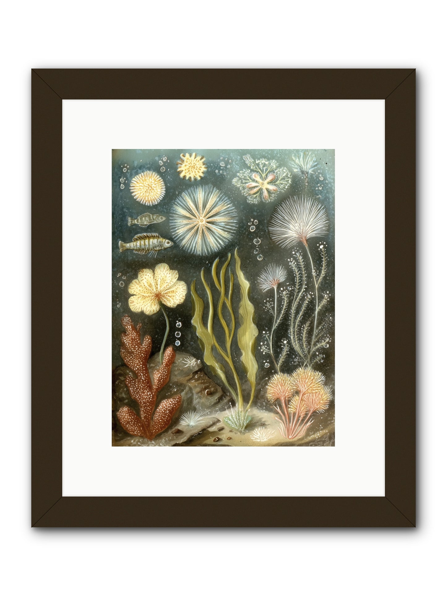 Secret Garden -- Framed Print - Black 9x12