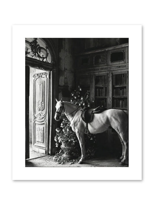 Seldomly Silent -- Paper Print 8x10