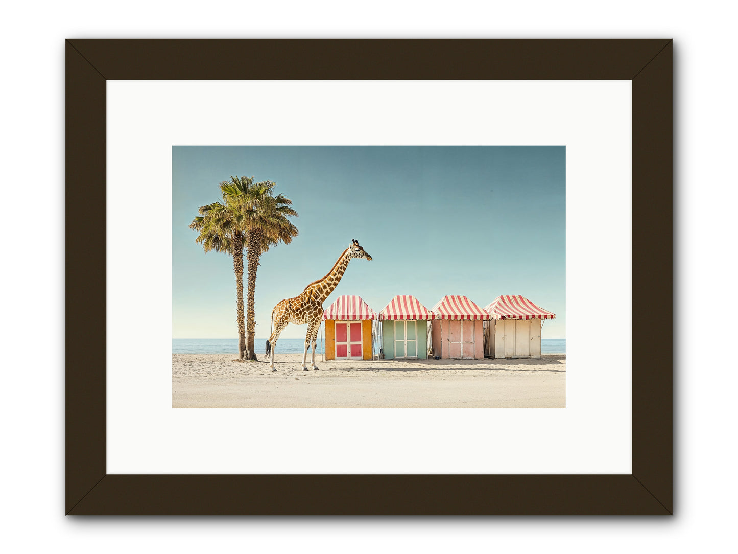 Serendipitous Travels -- Framed Print - Black 12x8
