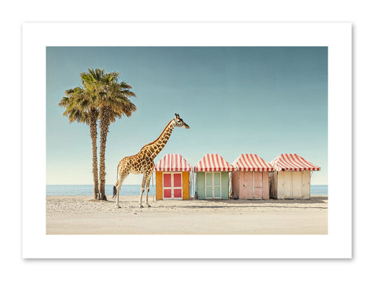 Serendipitous Travels -- Paper Print 12x8