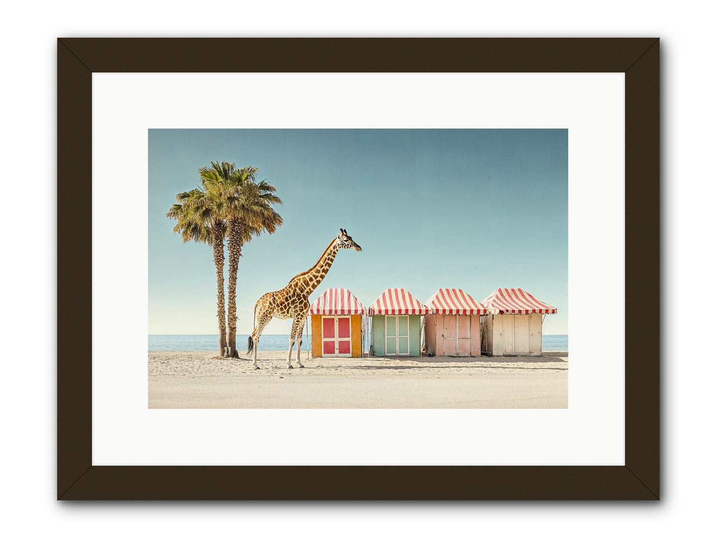 Serendipitous Travels -- Framed Print - Black 15x10