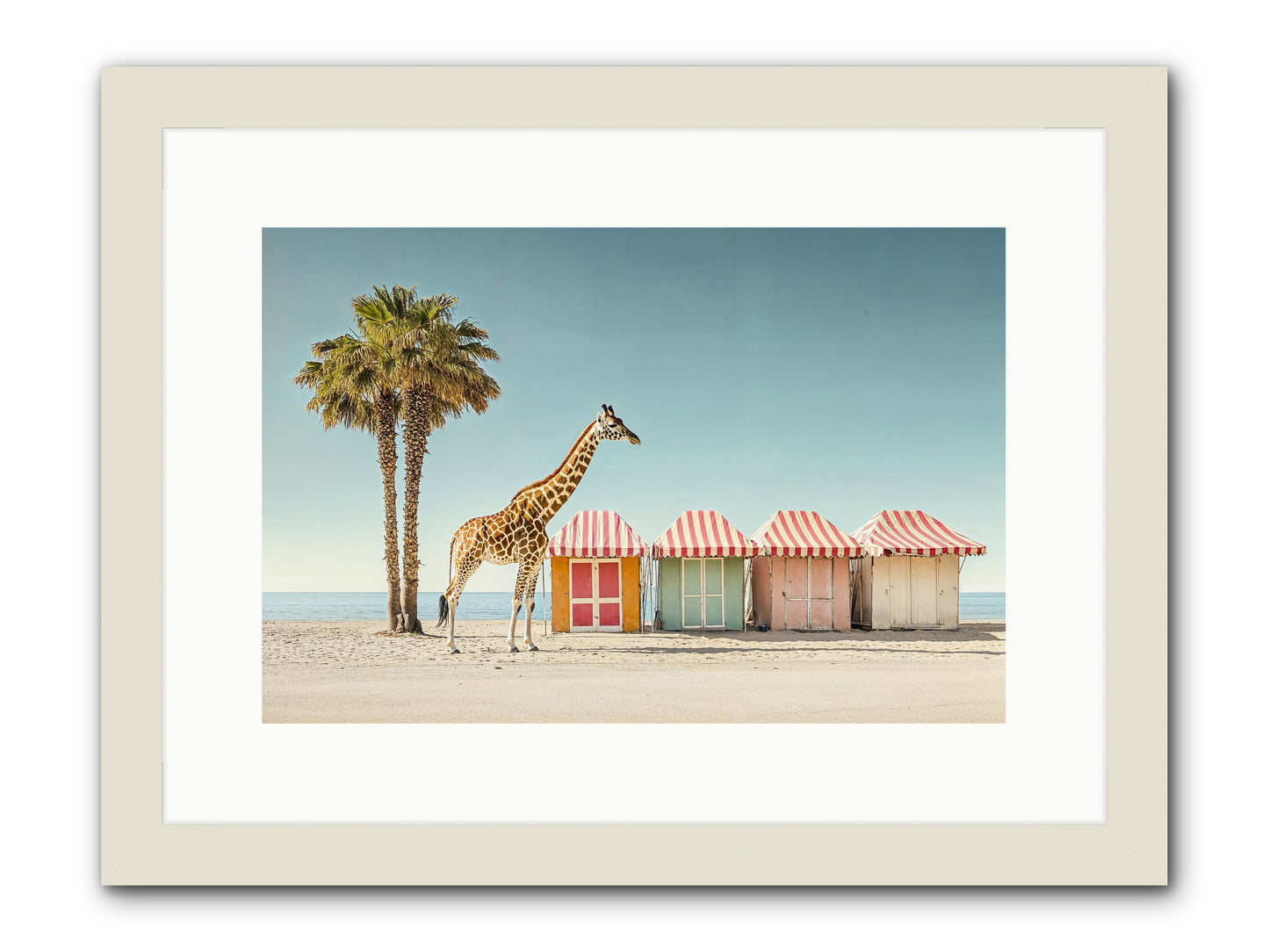 Serendipitous Travels -- Framed Print - White 15x10