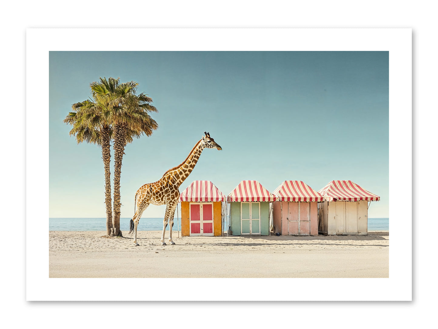 Serendipitous Travels -- Loose Canvas Print 15x10